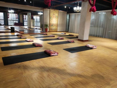 暖豐石墨烯電熱膜地暖 瑜伽館、養生館與健身房的應用優勢及研發進展